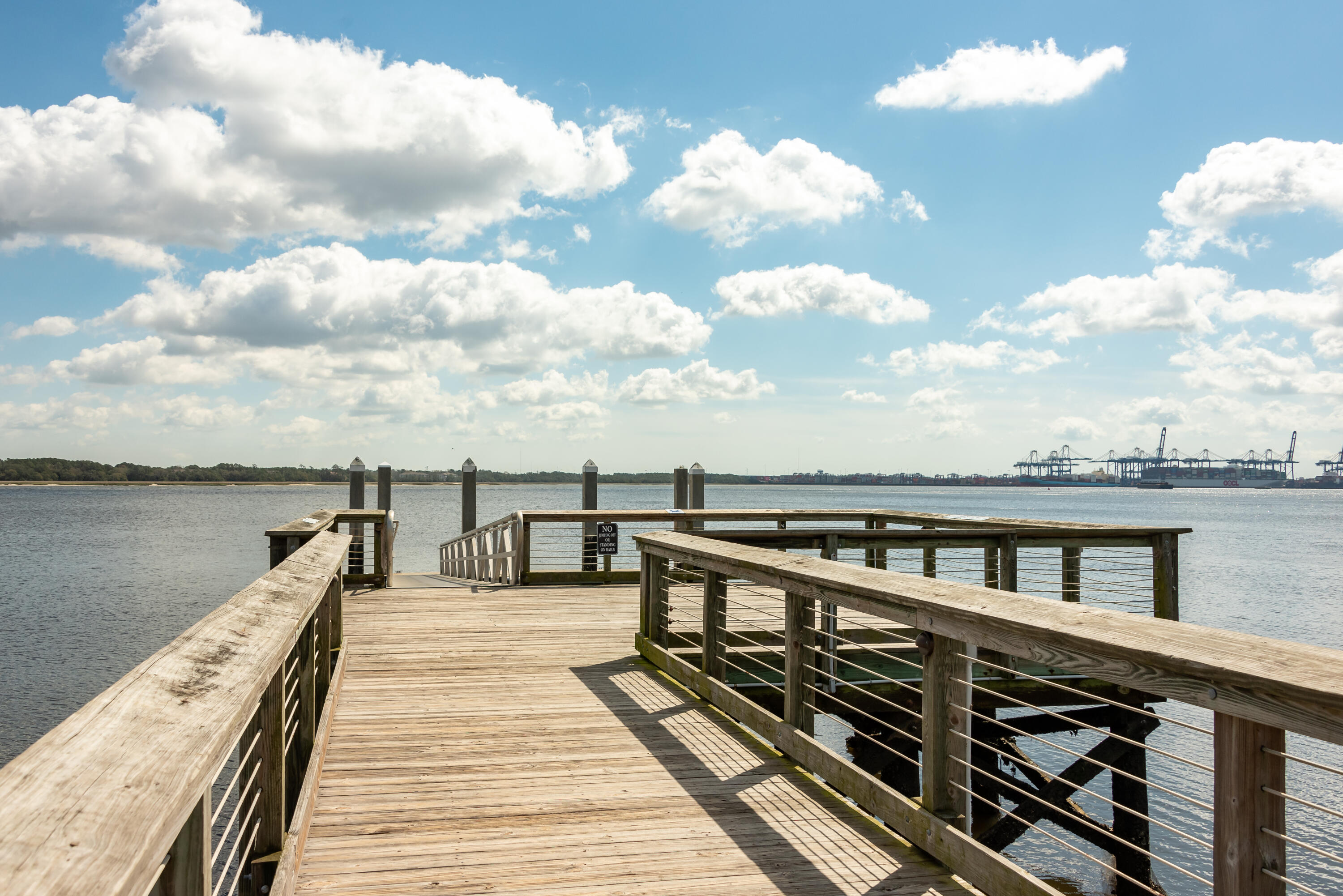 186 Cartright Street Daniel Island, SC 29492 - Photo 48 of 56 dock