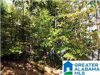 Lakeridge Drive, Unit 4 Ashville, AL 35953 - Photo 6 of 19