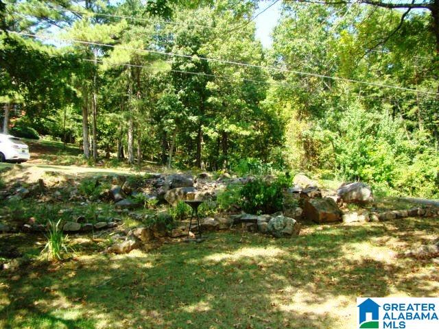 307 Laurel Springs Road Anniston, AL 36207 - Photo 27 of 30