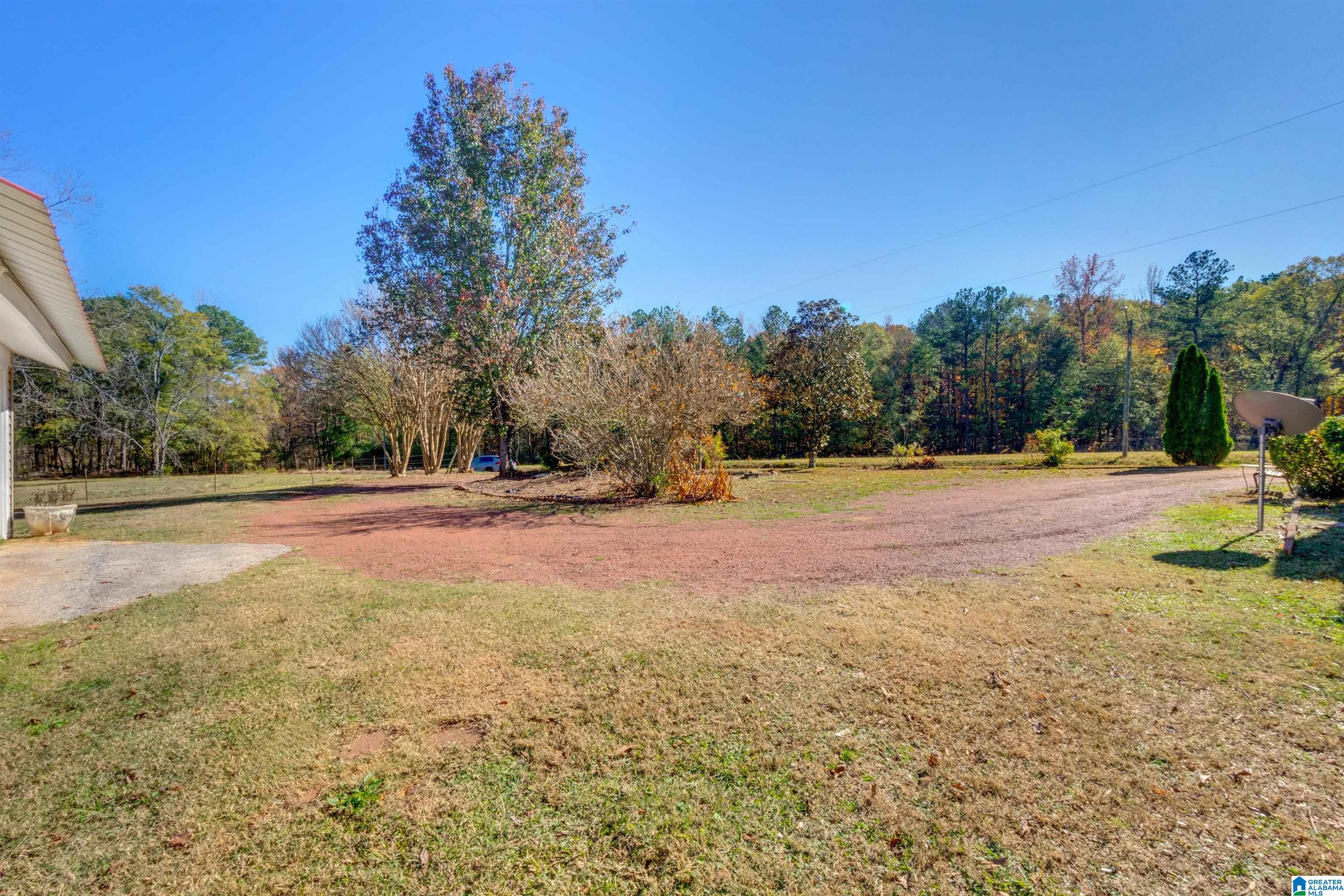 1207 County Road 153 Jemison, AL 35085 - Photo 47 of 54