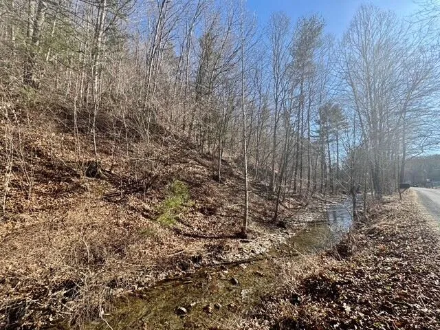 $49,000 | 0 Ogle Creek Road, Covington, VA 24426