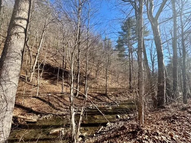 $49,000 | 0 Ogle Creek Road, Covington, VA 24426