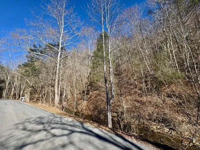 $49,000 | 0 Ogle Creek Road, Covington, VA 24426