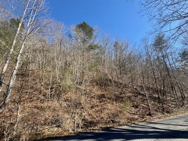 0 Ogle Creek Road Covington, VA 24426 - Photo 4 of 6 image6 (2)