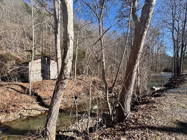 $49,000 | 0 Ogle Creek Road, Covington, VA 24426