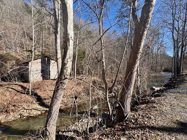 0 Ogle Creek Road Covington, VA 24426 - Photo 6 of 6 image9 (1)