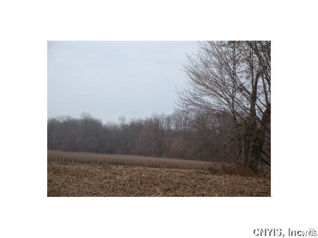 Lot19 Greenway Road Verona, NY 13478 - Photo 1 of 1 Exterior Front