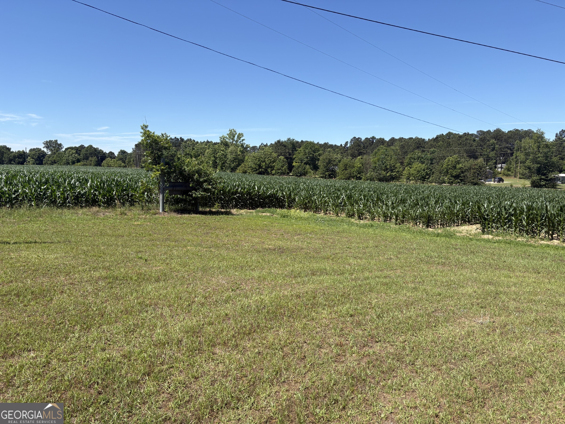 2638 Henderson Grove Road Davisboro, GA 31018 - Photo 45 of 45
