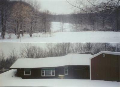 5950 South Head Road Delton, MI 49046 - Photo 1 of 1 Primary Photo