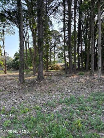 $18,000 | Lot #1 Us 264, Chocowinity, NC 27817