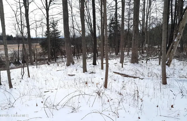 $79,900 | L44 Roberts Hill Road, West Coxsackie, NY 12192