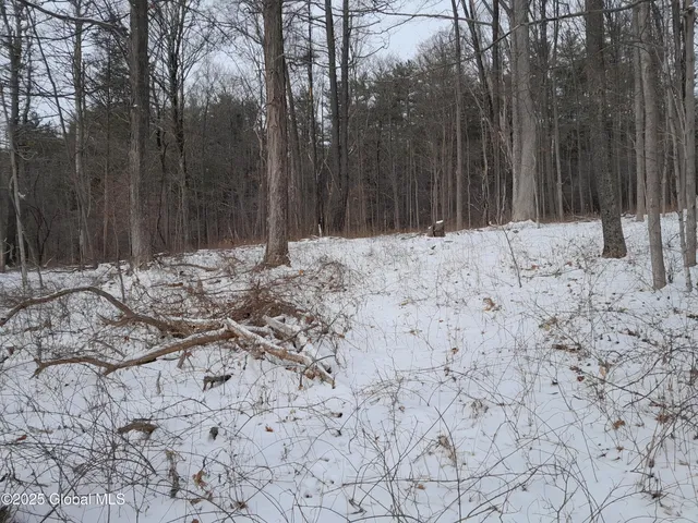 $79,900 | L44 Roberts Hill Road, West Coxsackie, NY 12192