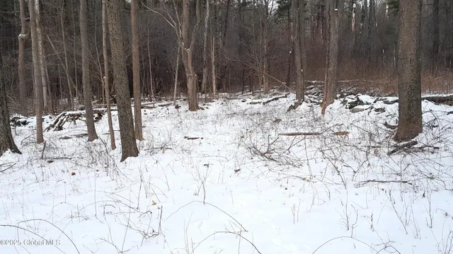 $79,900 | L44 Roberts Hill Road, West Coxsackie, NY 12192