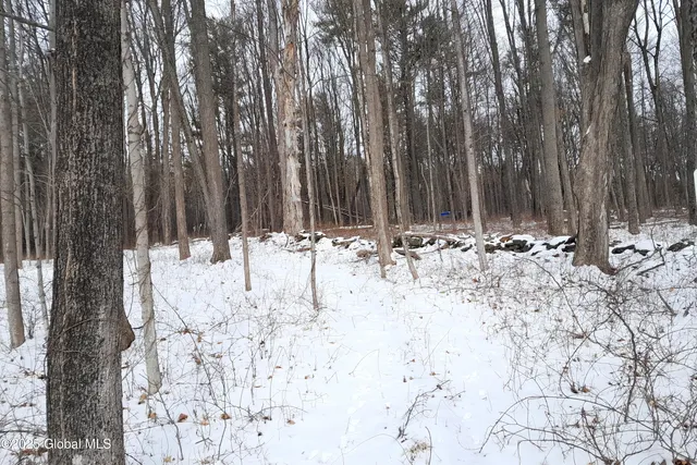 $79,900 | L44 Roberts Hill Road, West Coxsackie, NY 12192