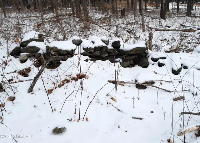 $79,900 | L44 Roberts Hill Road, West Coxsackie, NY 12192