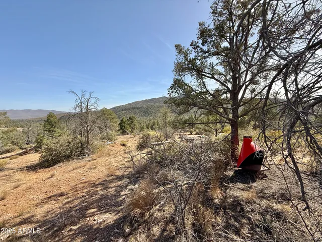 a view of a dry yard