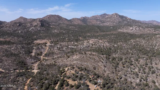 a view of a mountain in the distance