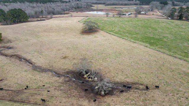 $47,700 | 0 Kiley Bailey Road, Unit PARCEL 8, Mendenhall, MS 39114