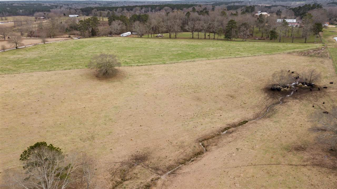 0 Kiley Bailey Road, Unit PARCEL 8 Mendenhall, MS 39114 - Photo 6 of 26 Photo 6