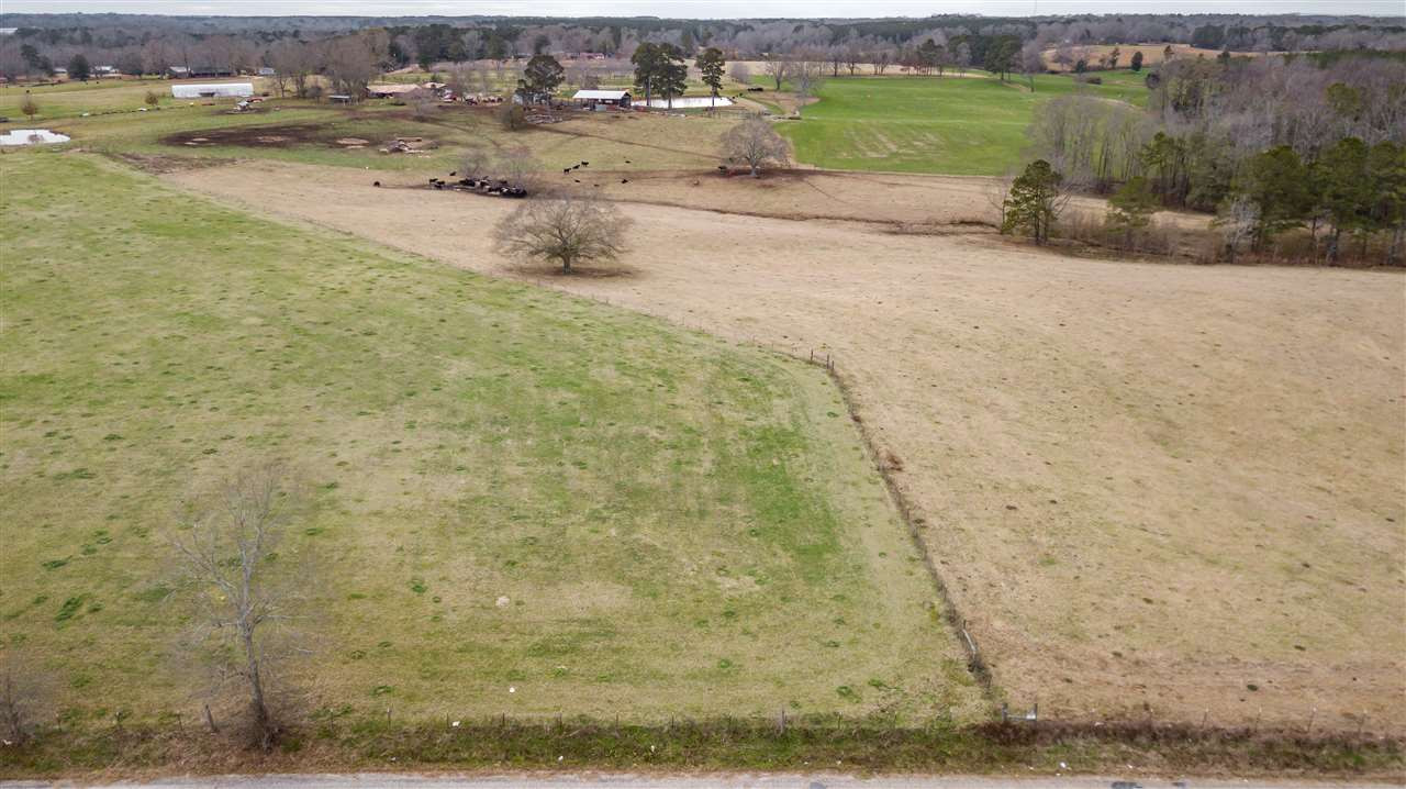 0 Kiley Bailey Road, Unit PARCEL 8 Mendenhall, MS 39114 - Photo 10 of 26 Photo 10