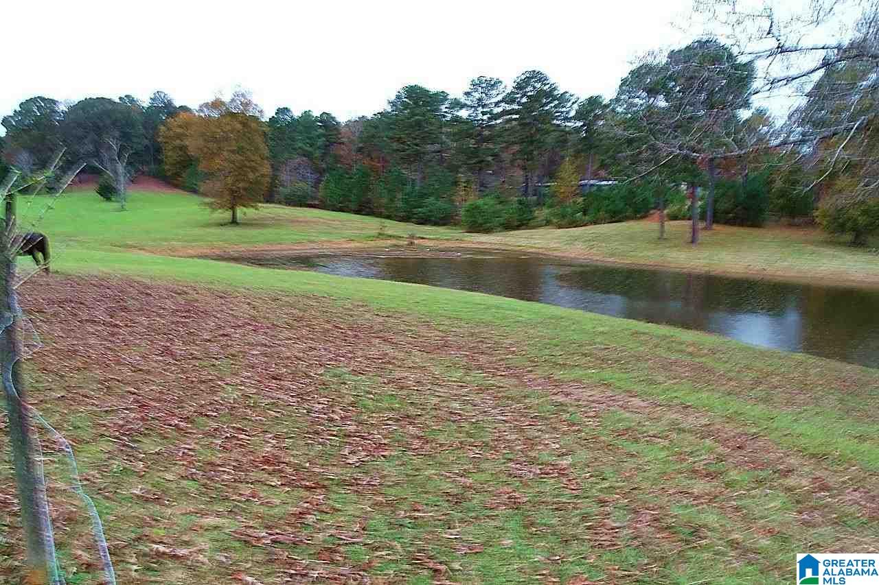 3295 Hilltop Road Bessemer, AL 35022 - Photo 6 of 11