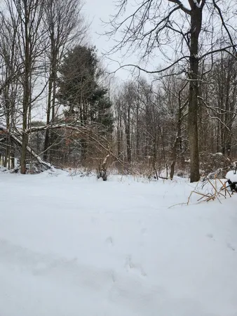 $49,000 | 8694 West S County Line Road, Greenville, MI 48838