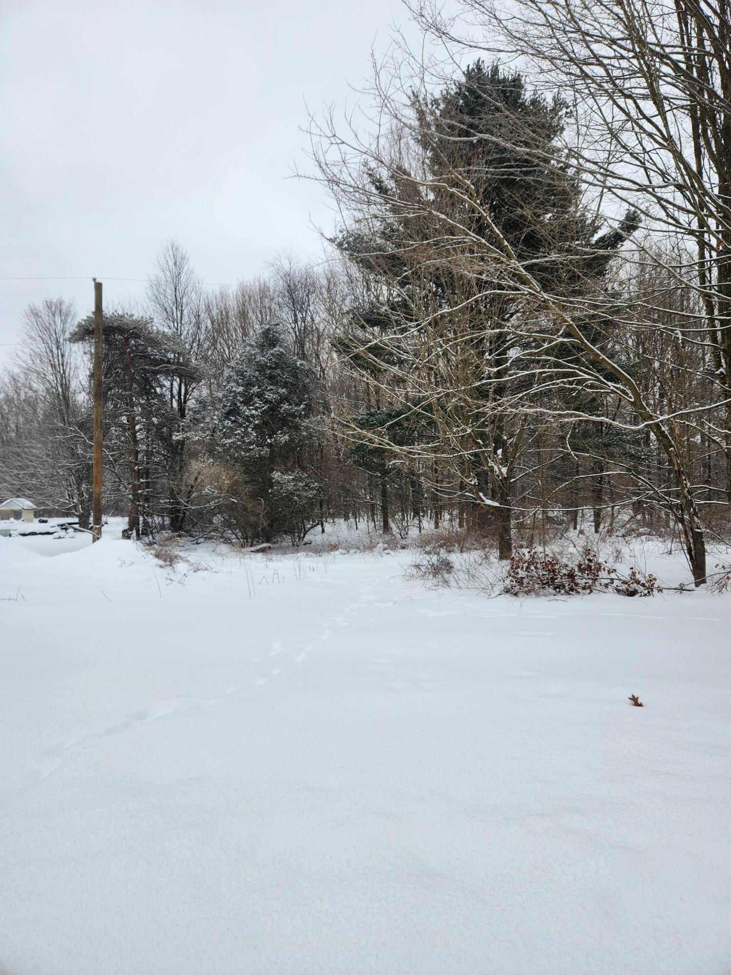 8694 West S County Line Road Greenville, MI 48838 - Photo 2 of 5 20260202_115505