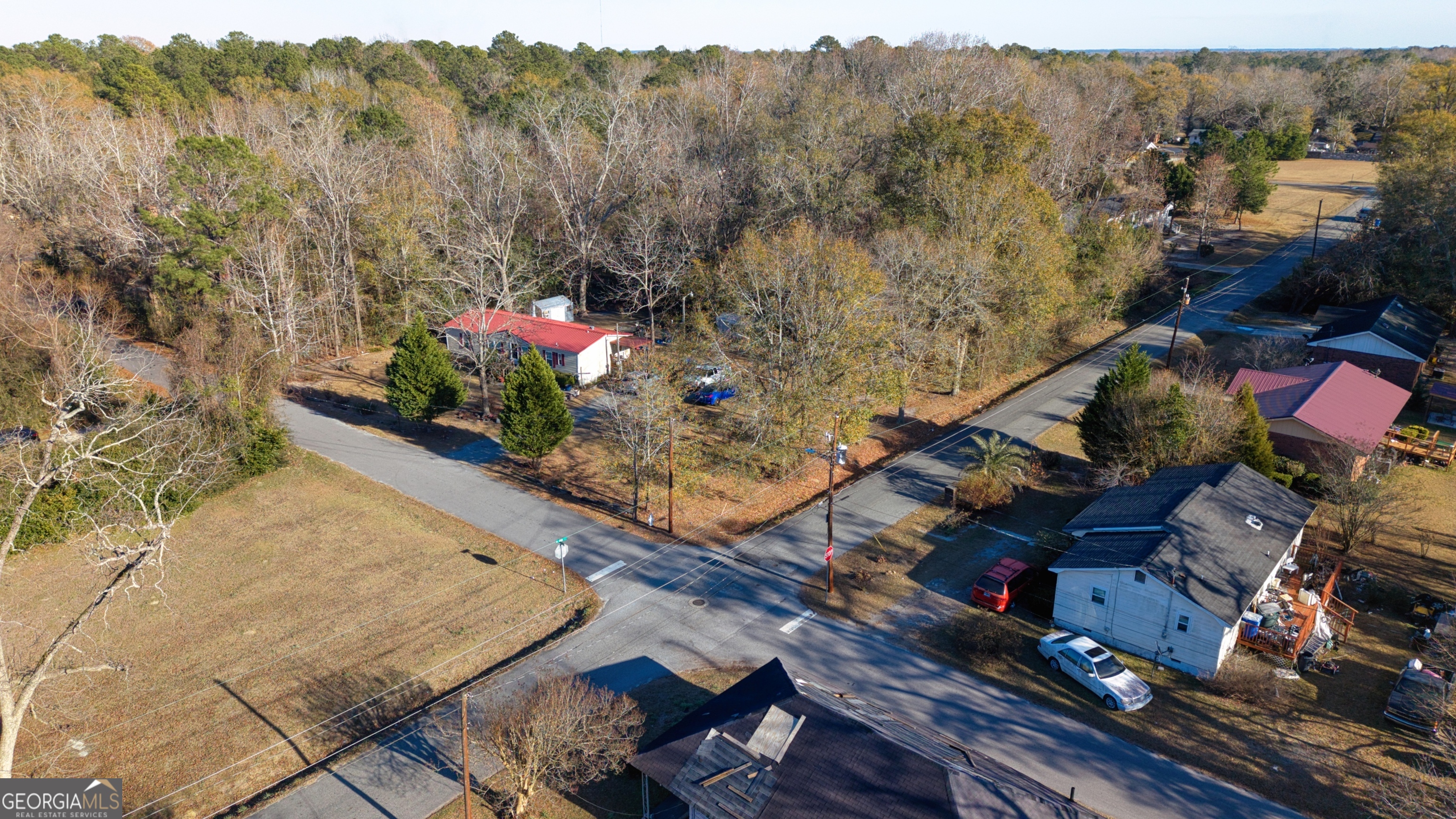 0 Woodard Dublin, GA 31021 - Photo 4 of 22