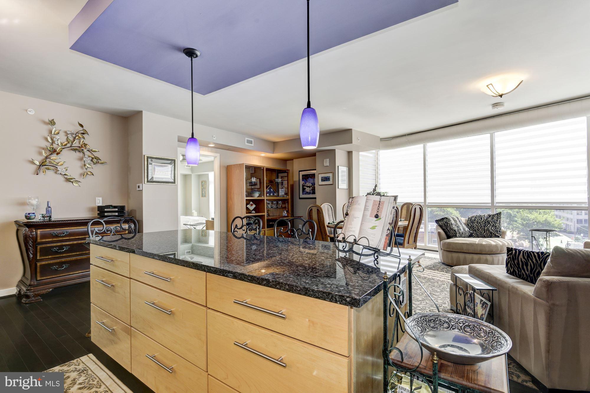 1025 First Street Southeast, Unit 613 Washington, DC 20003 - Photo 10 of 30 a kitchen with stainless steel appliances granite countertop a stove a sink a dining table and chairs with wooden floor