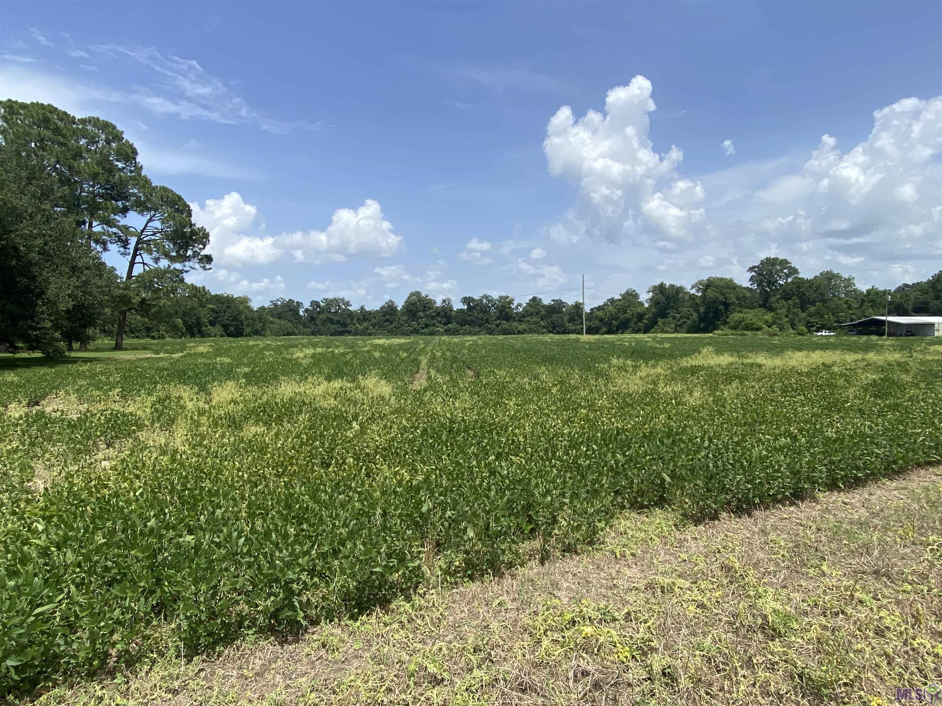 25.8-acres Maringouin Road West Maringouin, LA 70757 - Photo 1 of 4