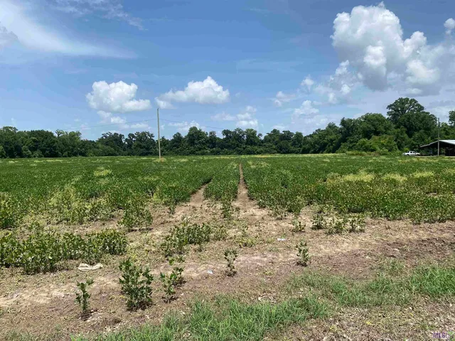 $299,000 | 25.8-acres Maringouin Road West, Maringouin, LA 70757