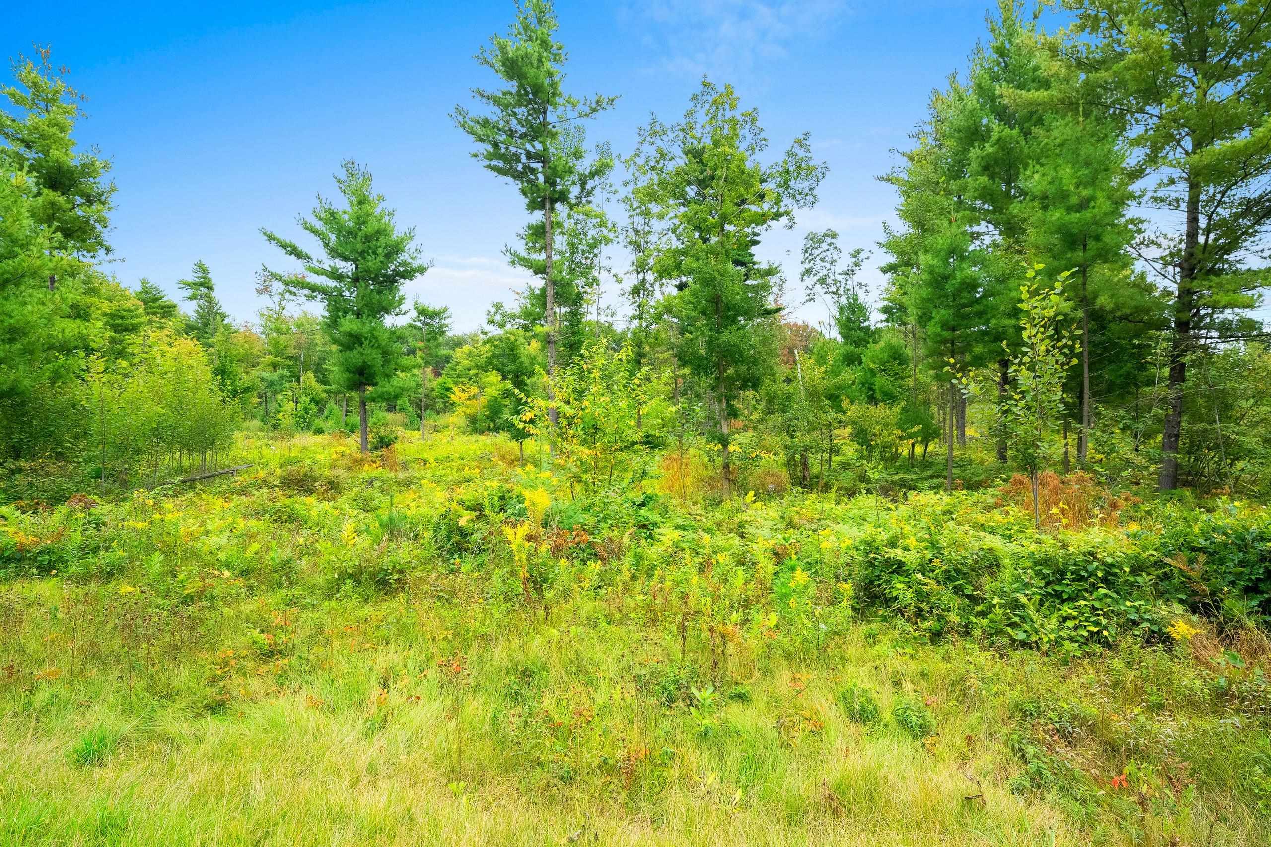 Cty Road Marinette, WI 54143 - Photo 12 of 13