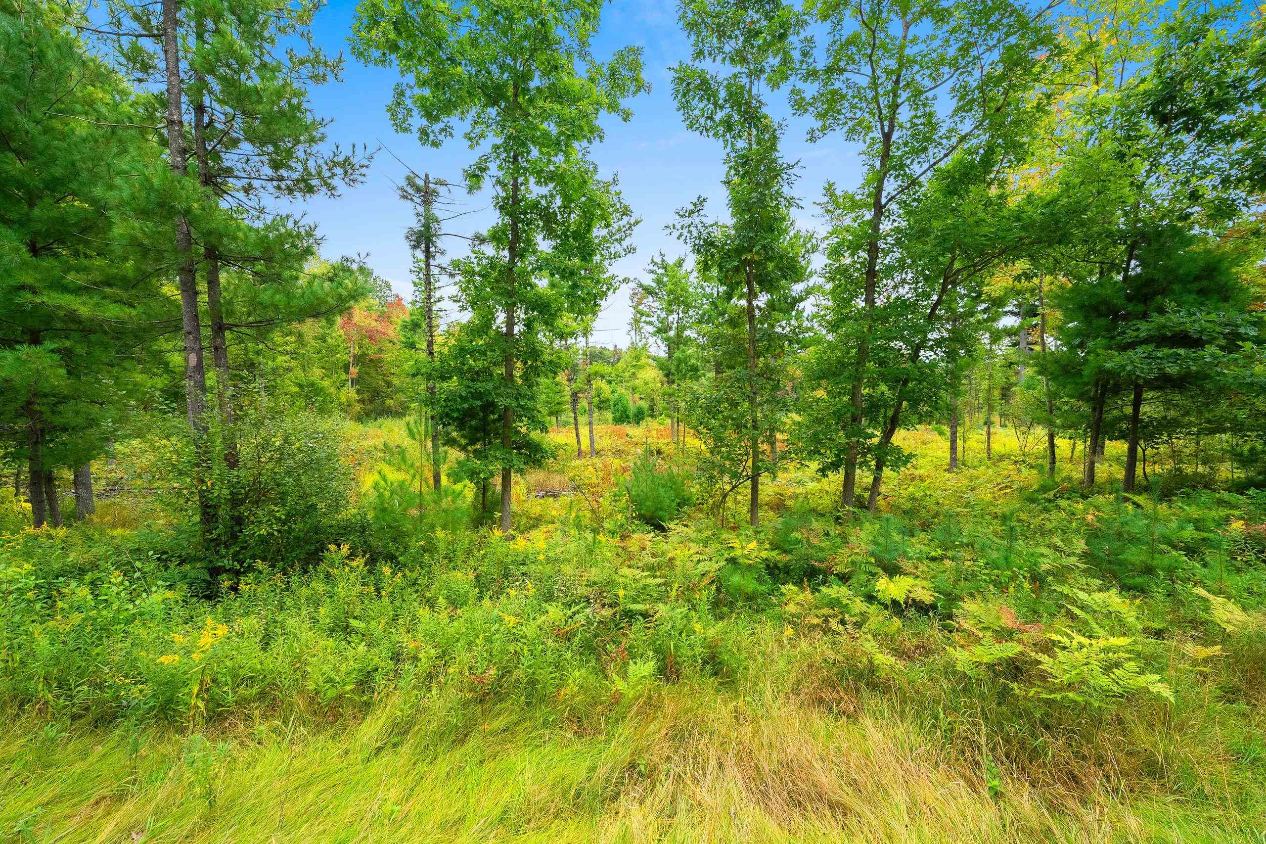 Cty Road Marinette, WI 54143 - Photo 13 of 13