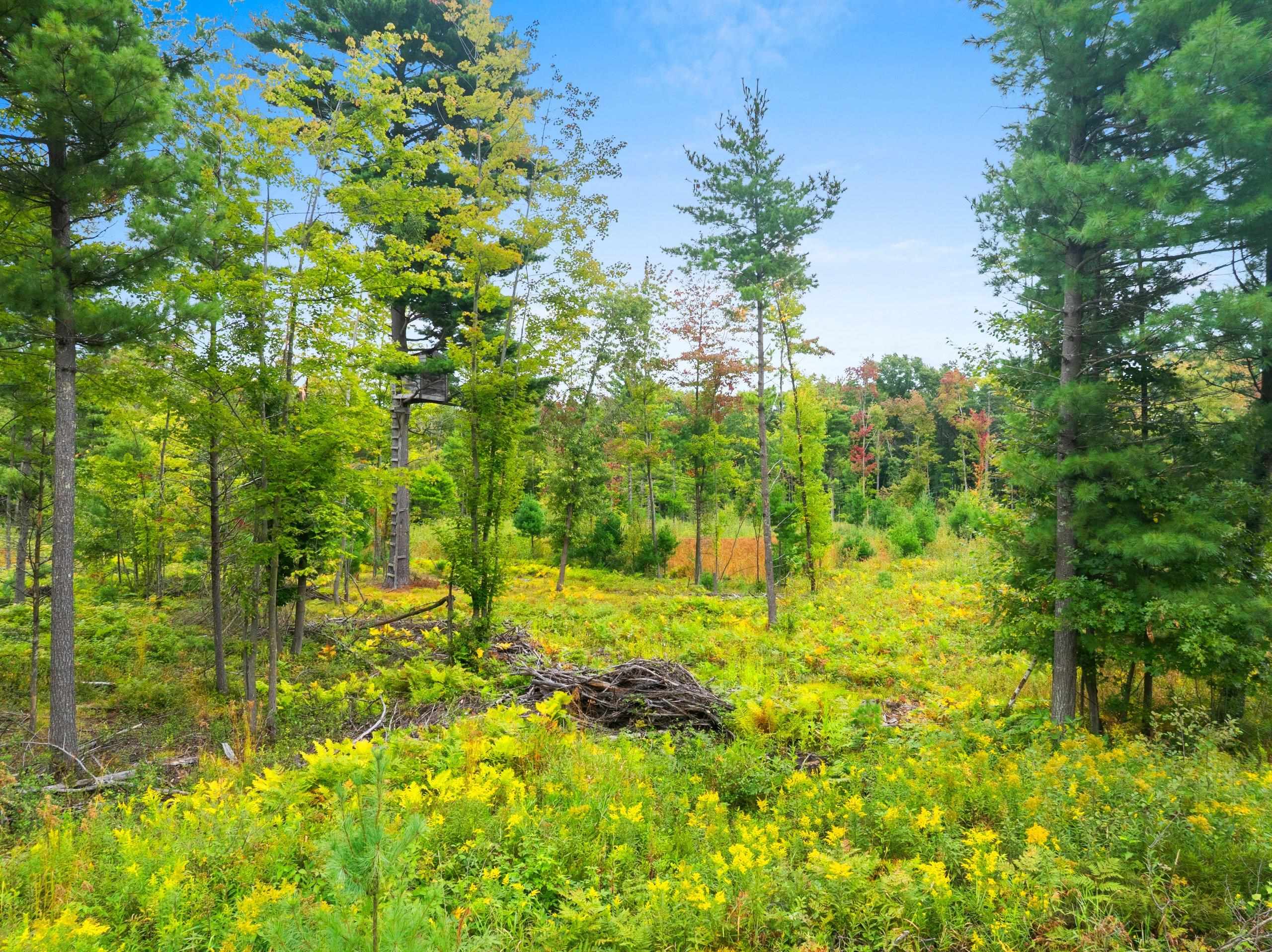 Cty Road Marinette, WI 54143 - Photo 2 of 13