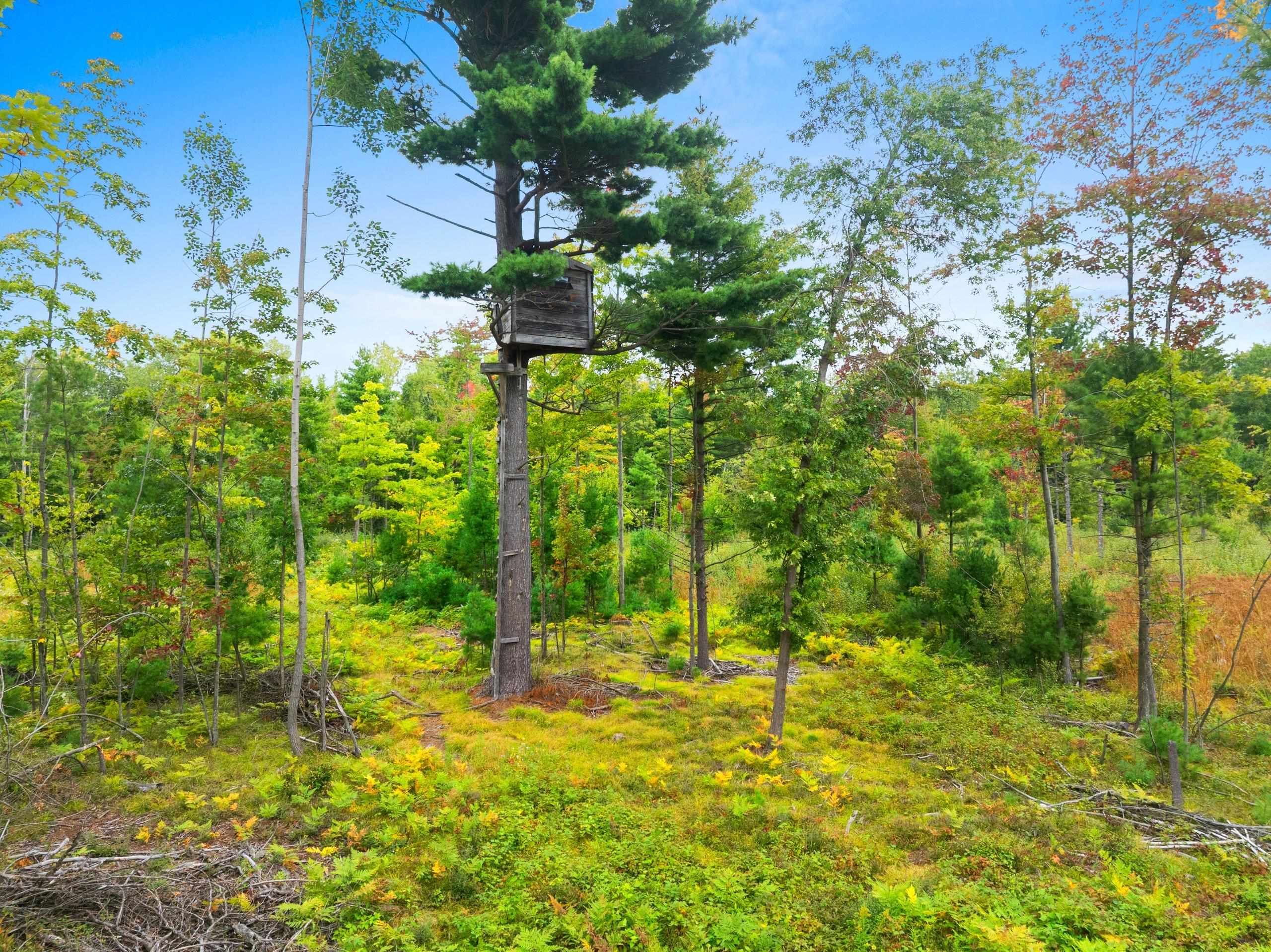 Cty Road Marinette, WI 54143 - Photo 3 of 13