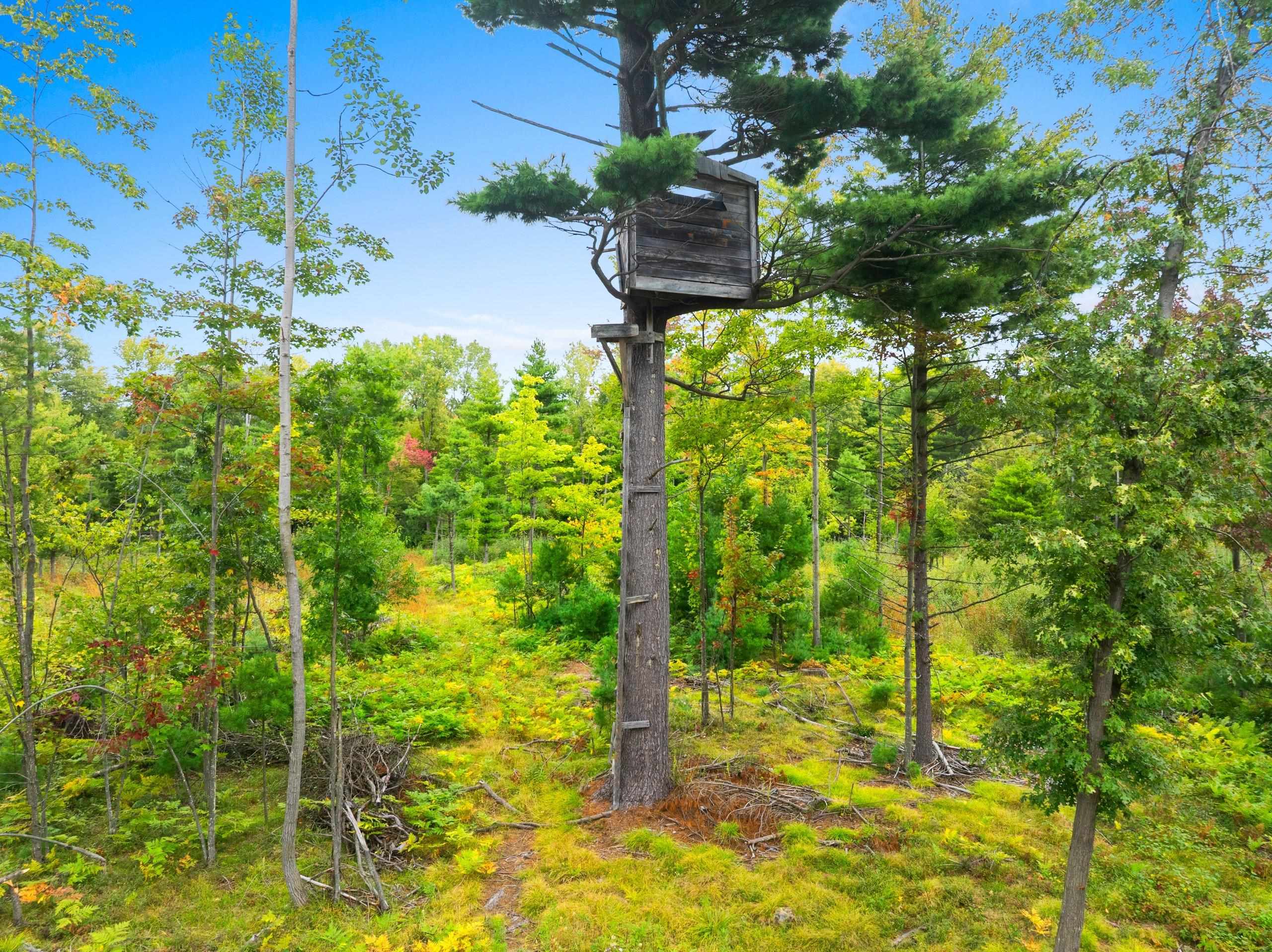 Cty Road Marinette, WI 54143 - Photo 4 of 13