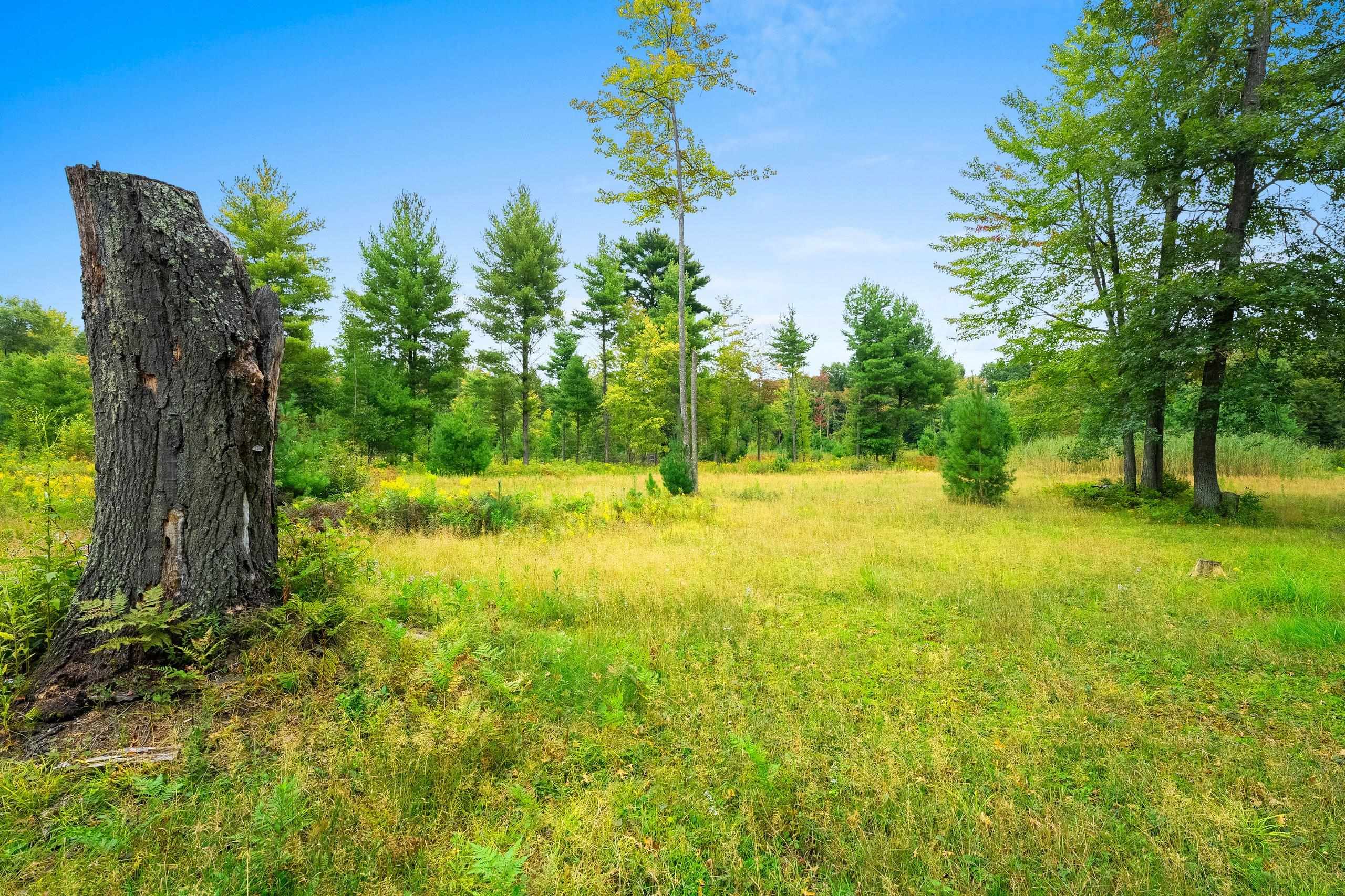 Cty Road Marinette, WI 54143 - Photo 7 of 13