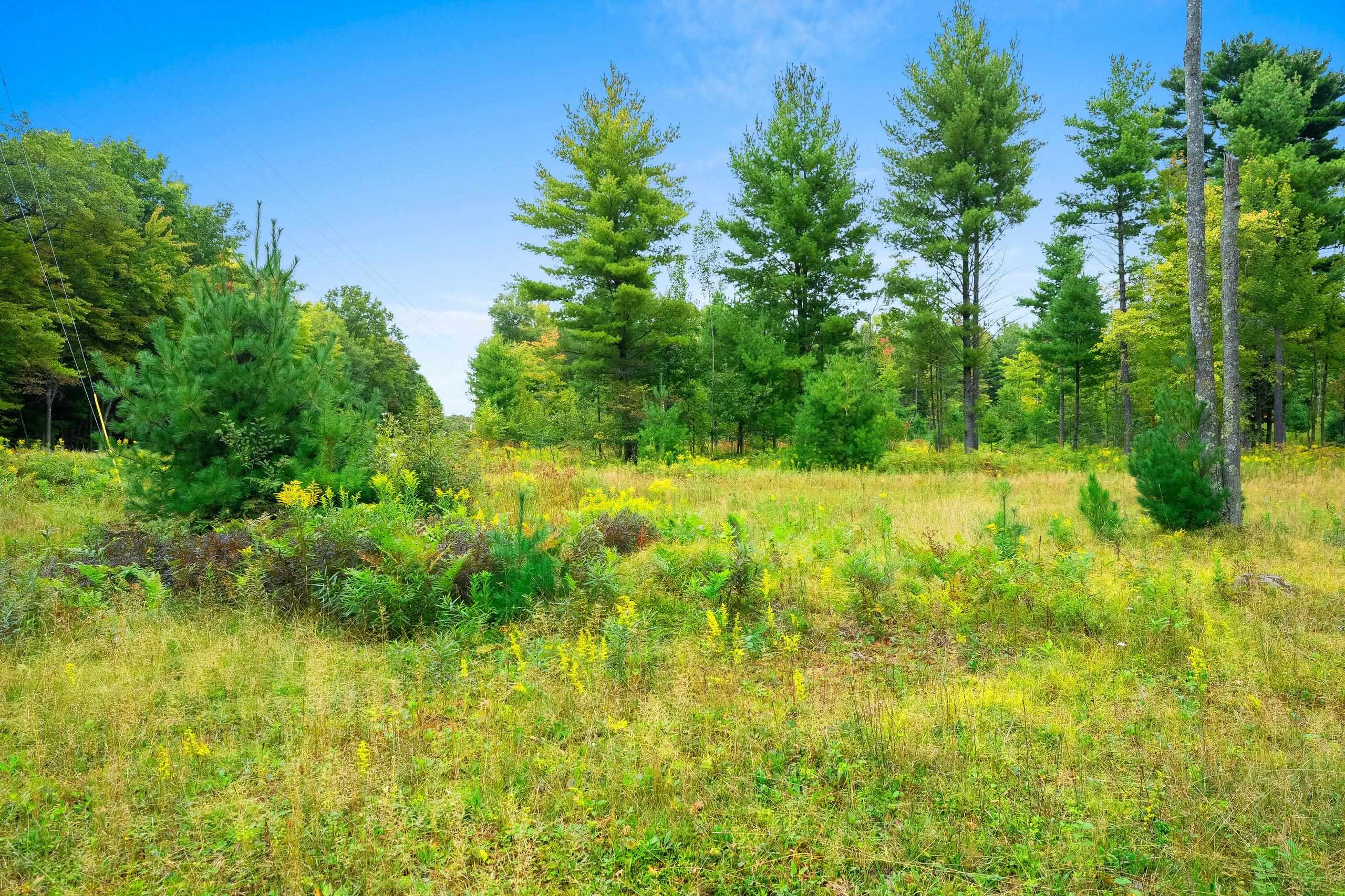 Cty Road Marinette, WI 54143 - Photo 8 of 13