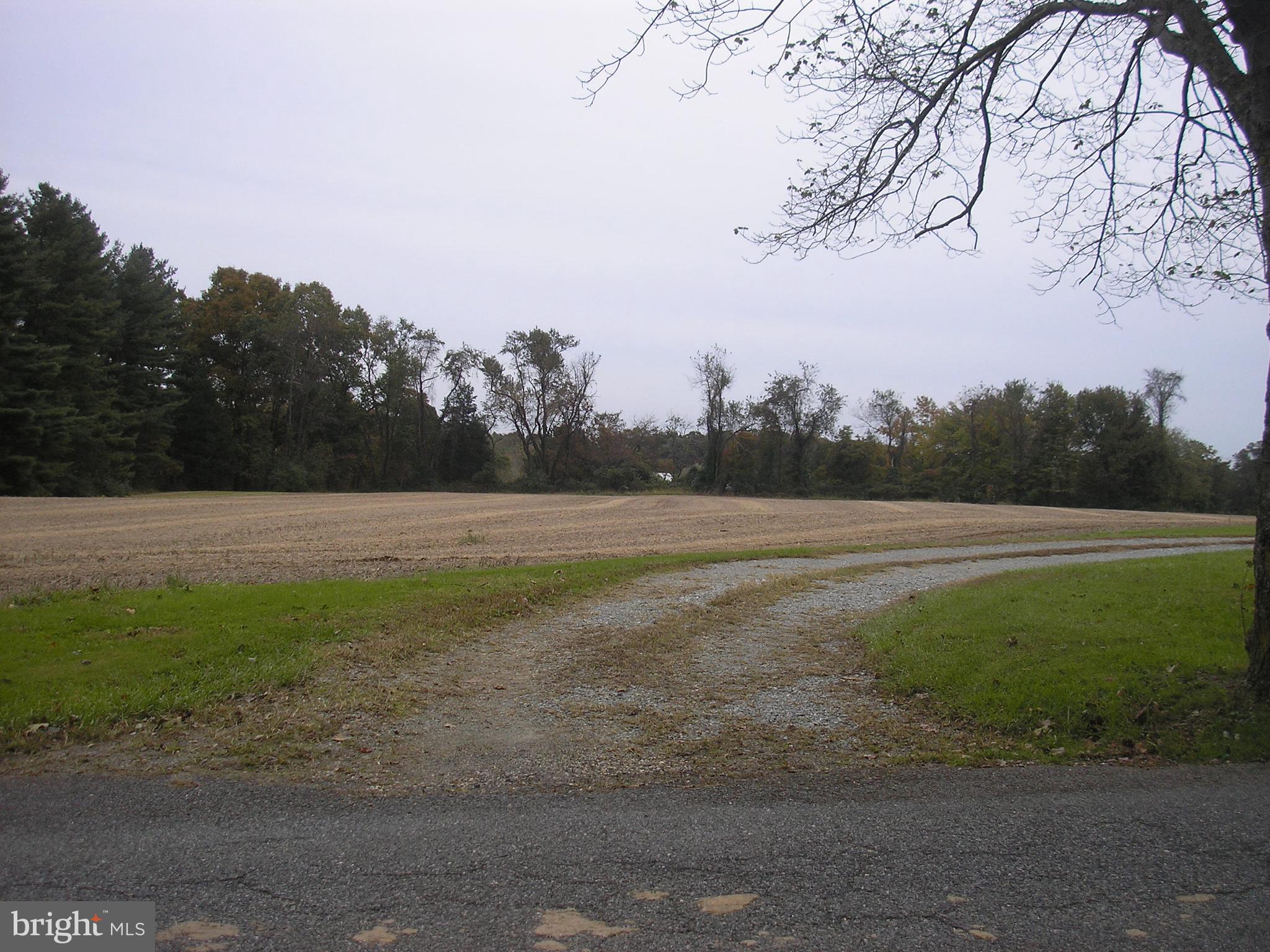 136 Woody Brown Road Rising Sun, MD 21911 - Photo 2 of 6 Driveway to property