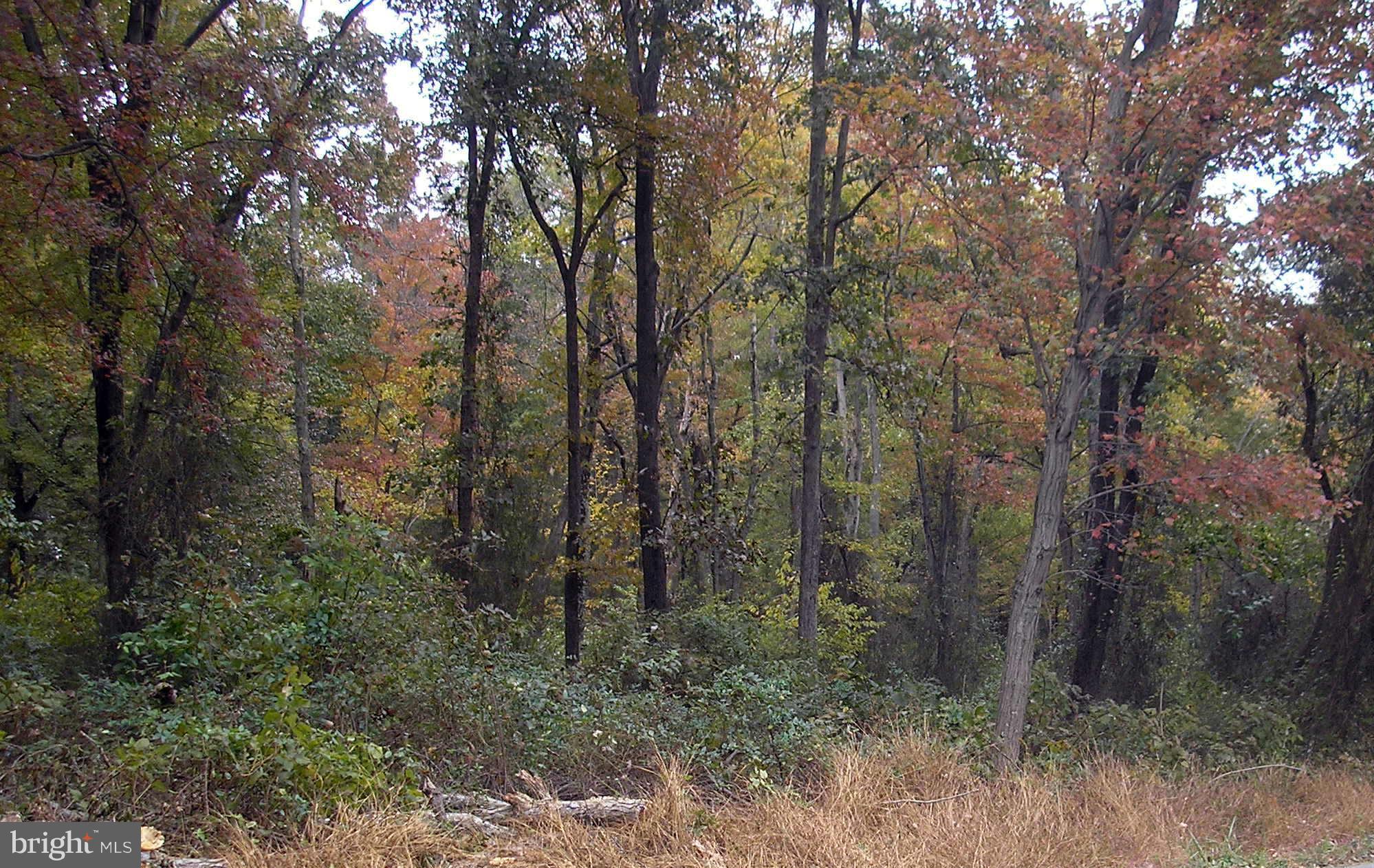 136 Woody Brown Road Rising Sun, MD 21911 - Photo 6 of 6 About half in wooded acreage across road