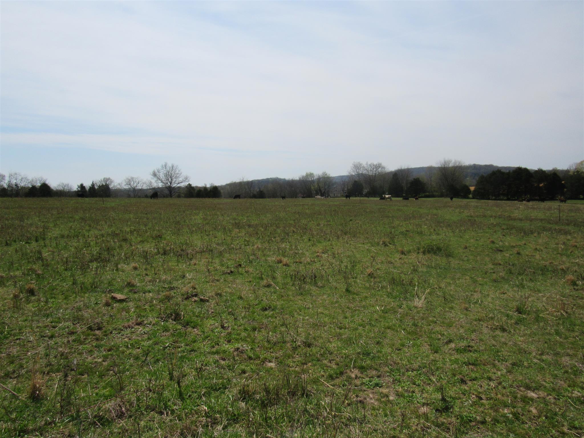 0 Young Road Lebanon, TN 37090 - Photo 11 of 16 a view of an ocean