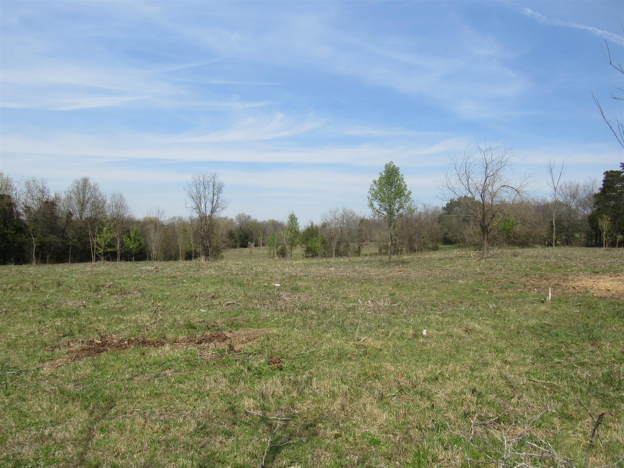 0 Young Road Lebanon, TN 37090 - Photo 13 of 16 a view of an outdoor space and a yard