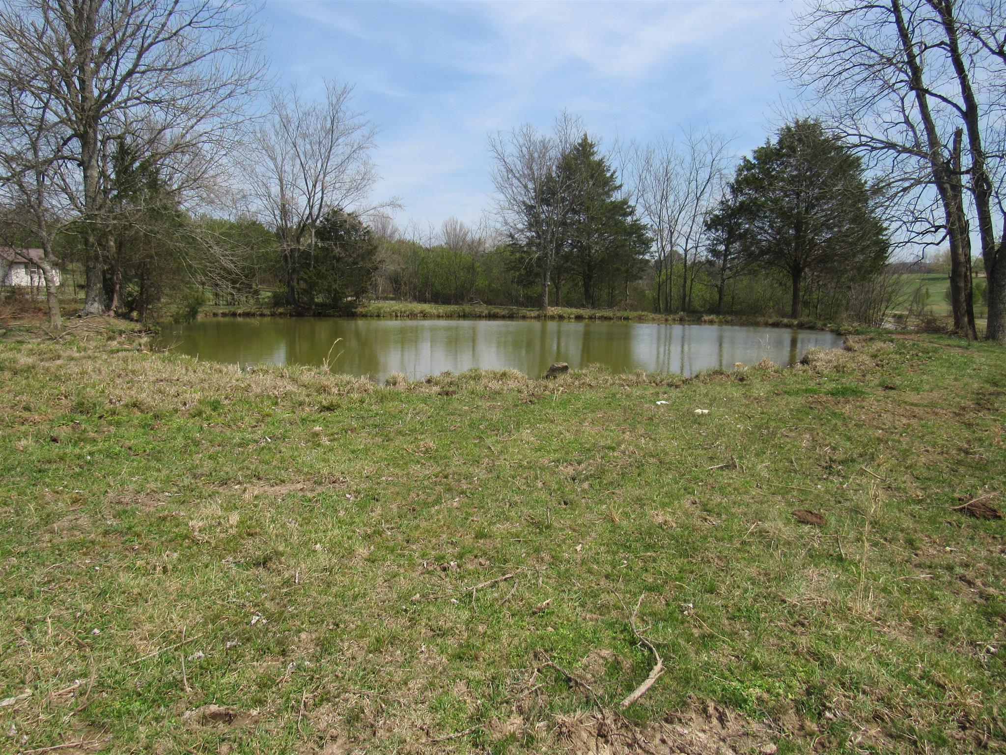 0 Young Road Lebanon, TN 37090 - Photo 14 of 16 a view of a lake view