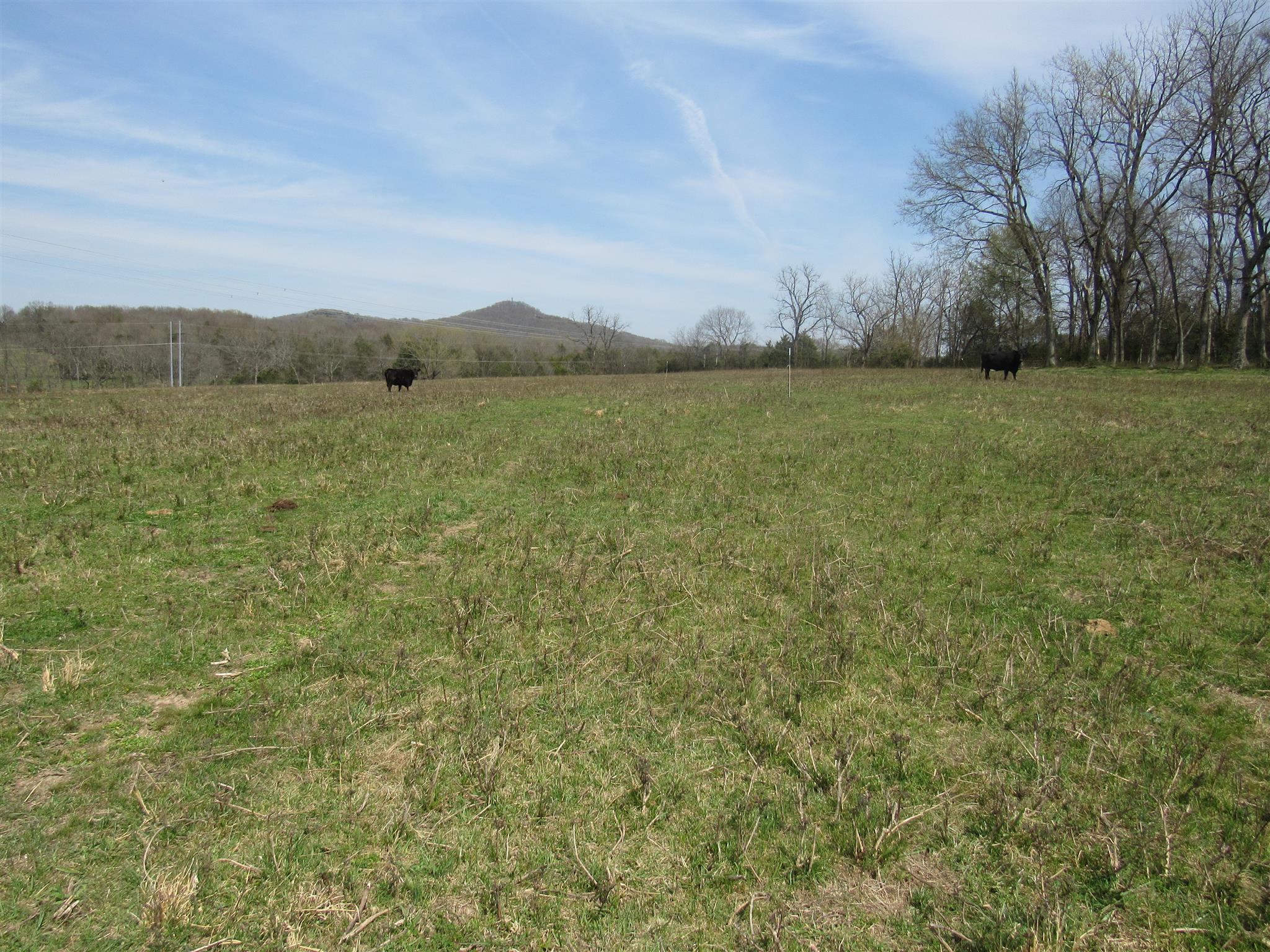 0 Young Road Lebanon, TN 37090 - Photo 15 of 16 a view of a lake view