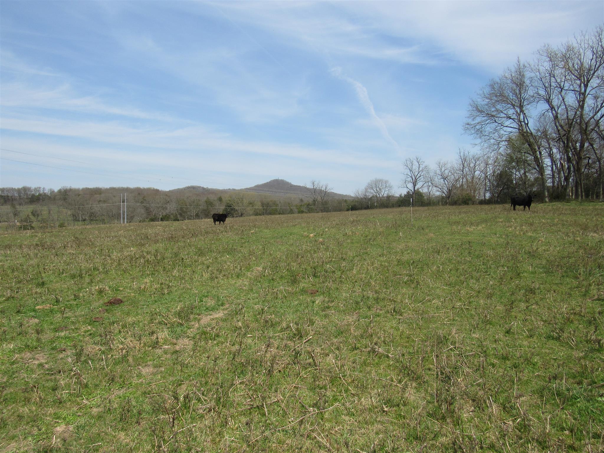 0 Young Road Lebanon, TN 37090 - Photo 16 of 16 a view of lake and mountain view