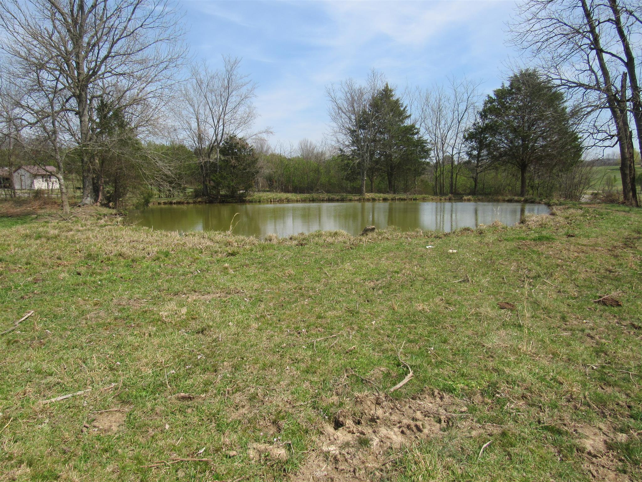 0 Young Road Lebanon, TN 37090 - Photo 2 of 16 a view of a lake with a yard and large trees