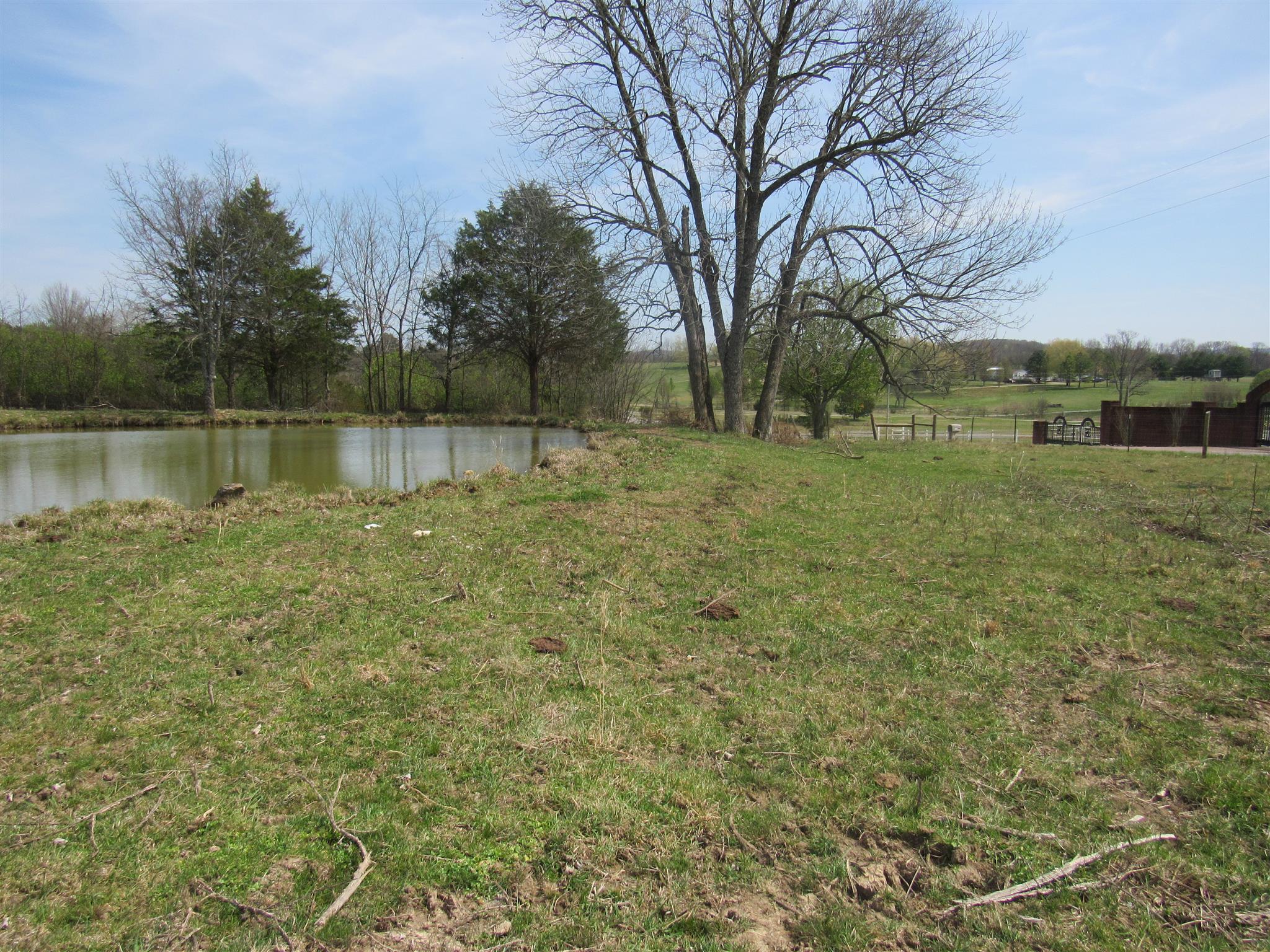 0 Young Road Lebanon, TN 37090 - Photo 3 of 16 a view of a lake with a yard