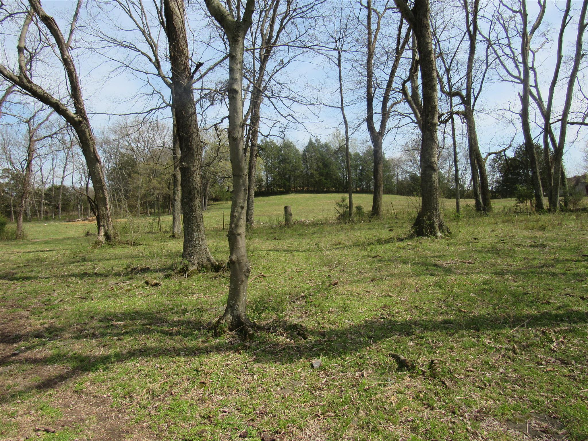 0 Young Road Lebanon, TN 37090 - Photo 5 of 16 a view of a tree in a yard