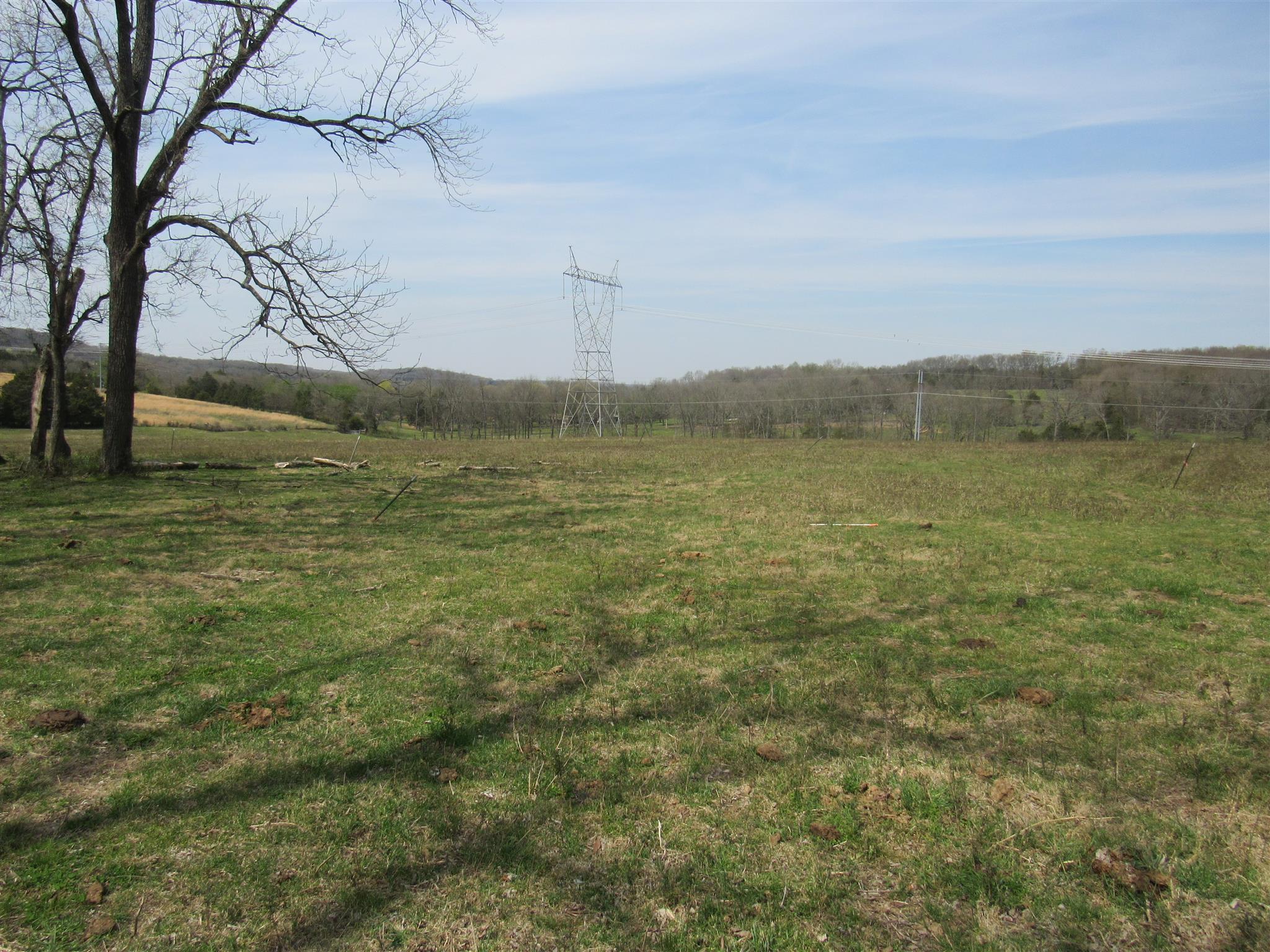 0 Young Road Lebanon, TN 37090 - Photo 6 of 16