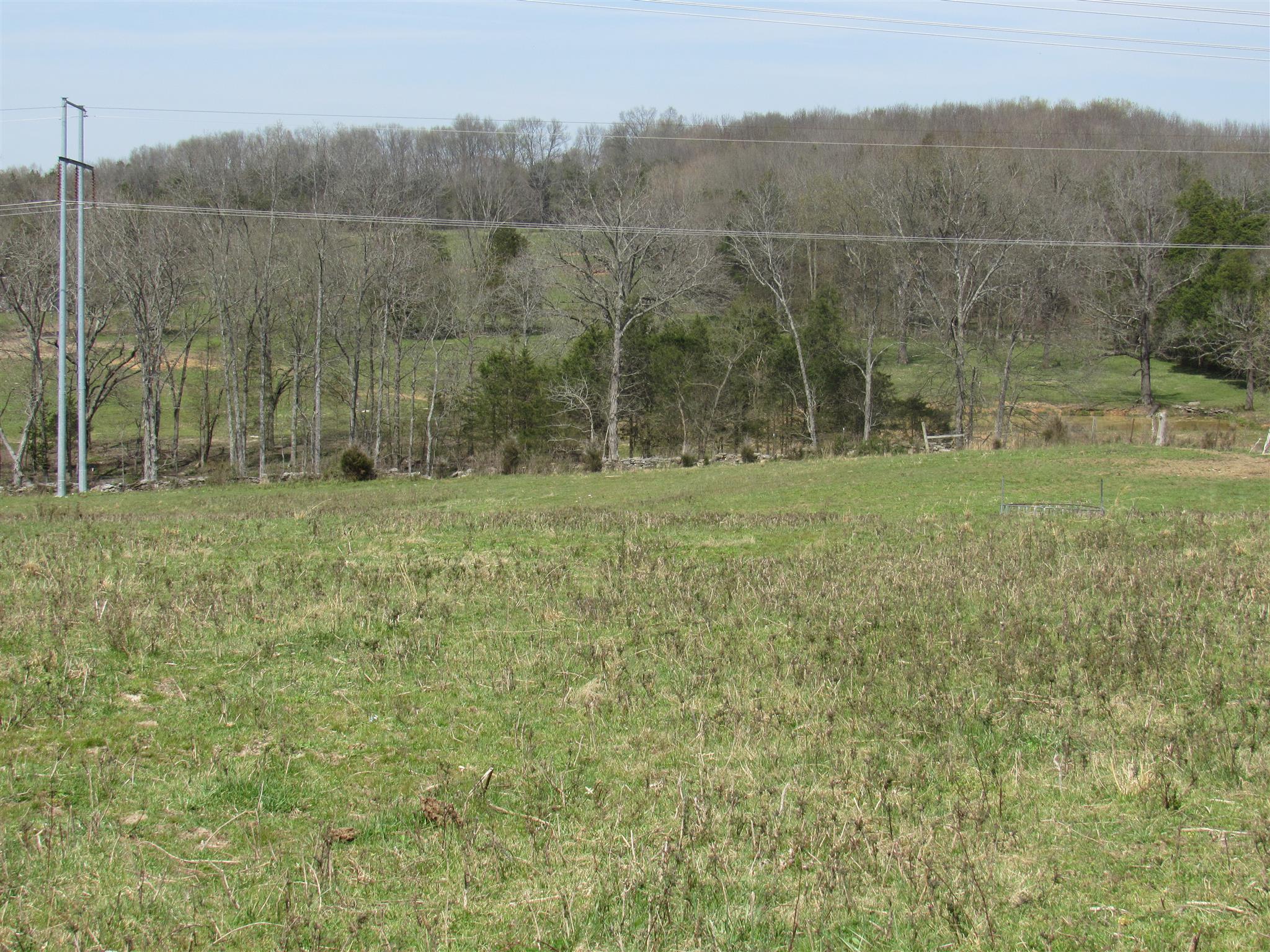 0 Young Road Lebanon, TN 37090 - Photo 8 of 16 a view of a green field